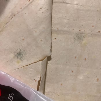 Komagene Küflü Ekmek ve Çiğköfte