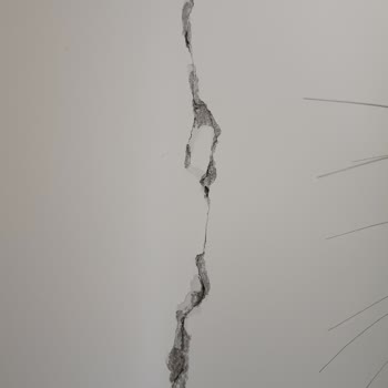 DASK Geri Bildirim Vermiyor!