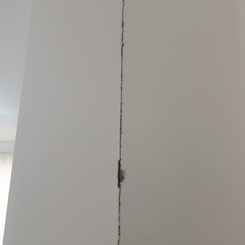 DASK Geri Bildirim Vermiyor!