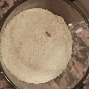 Piyale İrmik Böceklenmiş Ürün Satılması