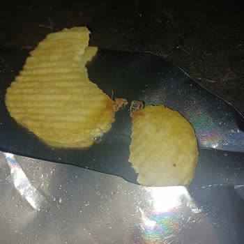 BİM Cipsten Böcek Çıktı