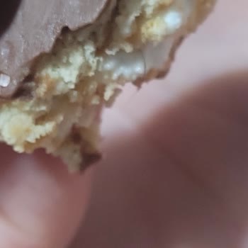 Ülker Halleyden Kıl Çıktı