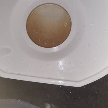 Chicco 3 İn 1 Sterilizatör Koku