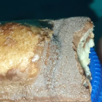Küflü Şölen Marka Nutymax