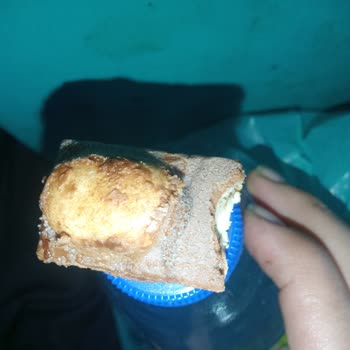 Küflü Şölen Marka Nutymax