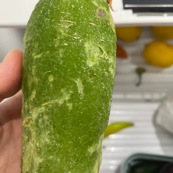 Bosch Marka Buzdolabı BİP Sesi Çıkarıyor