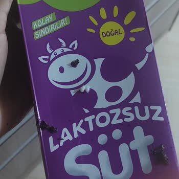 Migros Markalı Süt Laktozsuz