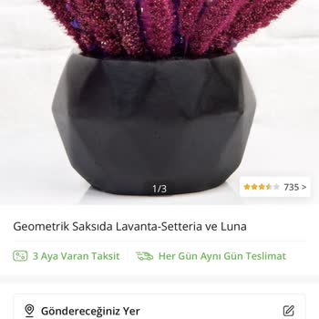 Çiçek Sepeti Siparişi