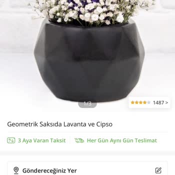 Çiçek Sepeti Siparişi