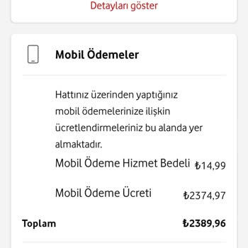 İzinsiz Payguru Ödemesi Yapılması