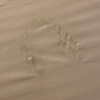 Academic Tour 8-13 Eylül Uçakla Karadeniz-Batum Turu