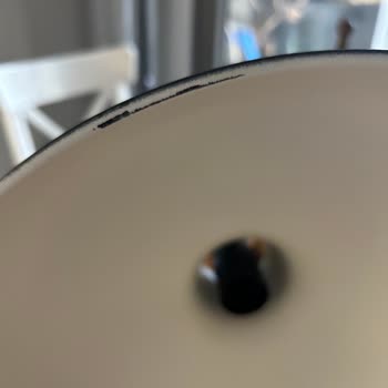 Gardrops Uygulamasının İade Talebini Aynı Gün Otomatik Onaylaması