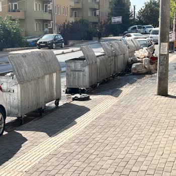 Çevre, Şehircilik Ve İklim Değişikliği Bakanlığı Nilüfer Belediyesi'nin Çevre Temizliği