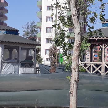 Mardin Midyat Kent Parkın Amaç Dışı Kullanımı