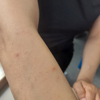 Aris Çukurambar Vip Tamamen Ticaret Hane