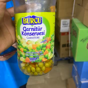 A101 Garnitür İçinde Çıkan Salyangoz