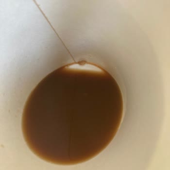 Starbucks Coffee Misto İçerisinde Çıkan Plastik Cisim
