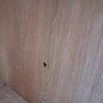 Çilek Mobilya Kitaplığımda 20 Tane Delik Var