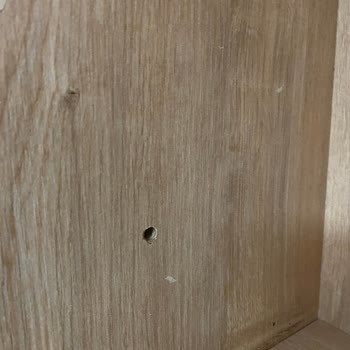 Çilek Mobilya Kitaplığımda 20 Tane Delik Var