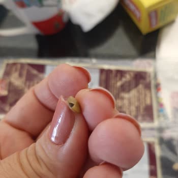 Duru Bakliyat Böcekli Yeşil Mercimek