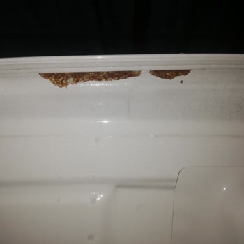 Peugeot Pişmanlıktır! Peugeot Pişmanlıktır!