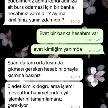 Papara Burs Başvurusuyla İlgili Sorun