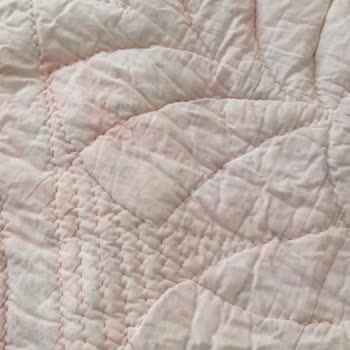 Avşar Buharlı Koltuk Ve Halı Yıkama (Adana) Mağduriyeti