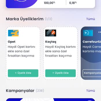 Chippin Puan Kullanma Problemi