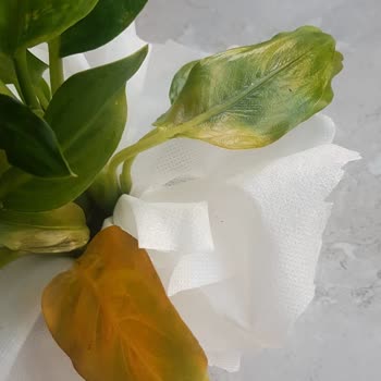 ÇiçekSepeti Solmuş Çiçek Gönderdi