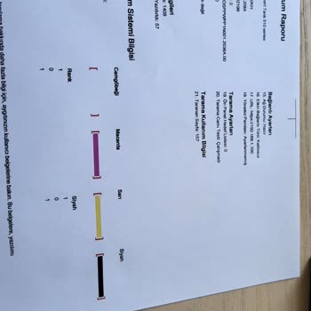 HP Yazıcı Kartuş Mavi Renk Basmıyor