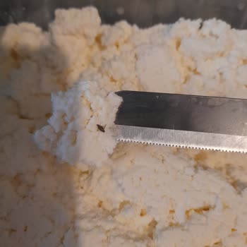 Torku Lor Peyniri İçinden Çıkan Böcek