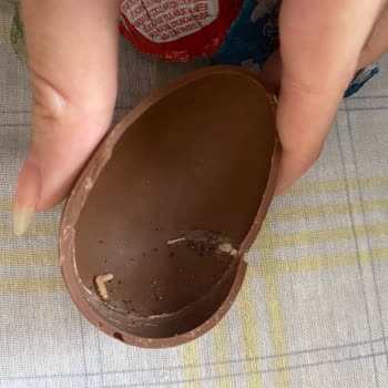 Ozmo Sürpriz Yumurtanın İçinden Kurt Çıktı