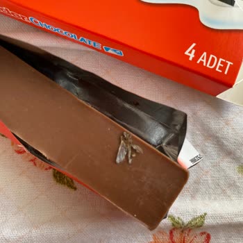 Ferrero Rocher Kinder Chocolate İçinden Sinek Çıktı!