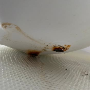 Snowwater Su Arıtma Tankı Paslanıyor Ve Su Kaçırıyor