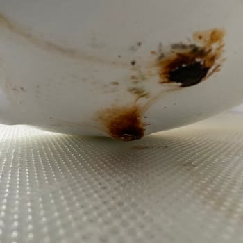 Snowwater Su Arıtma Tankı Paslanıyor Ve Su Kaçırıyor