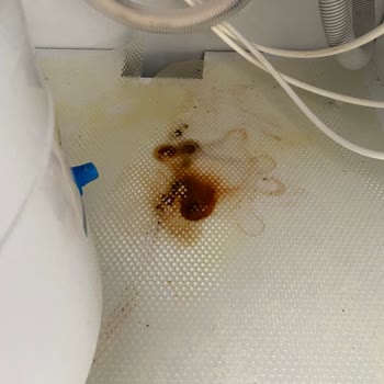 Snowwater Su Arıtma Tankı Paslanıyor Ve Su Kaçırıyor