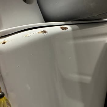 LG Üründe Deformasyon Problemi