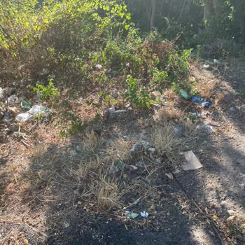 Üsküdar Belediyesi Temizlik Çöpler Hizmet