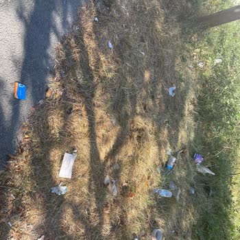 Üsküdar Belediyesi Temizlik Çöpler Hizmet