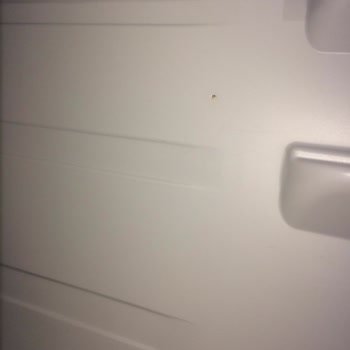 Arçelik 570464 Mı No Frost İç Ve Dış Yan Pas