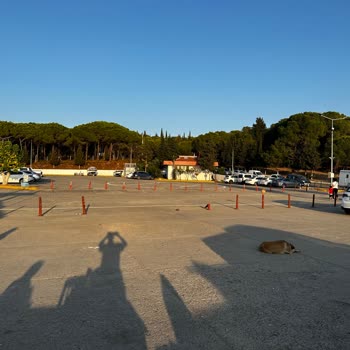 Türkiye Denizcilik İşletmeleri Otopark Ücreti TDİ Kabatepe