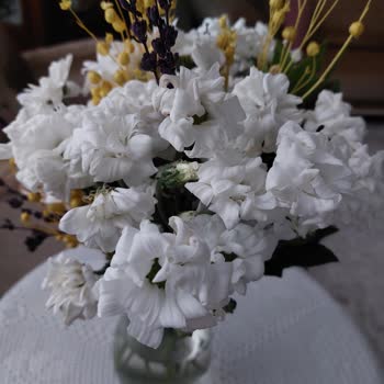 Çiçek Sepeti Şikayet