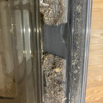 Fakir Robot RS777 Çalışmaması