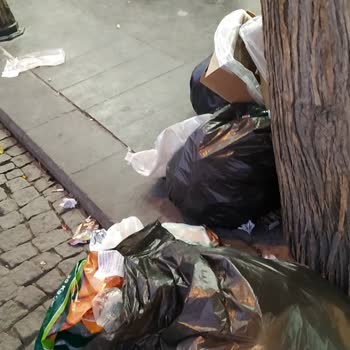 Halktan Kuruyemiş Adlı Gıda Mağazasının Çöp Sorunu