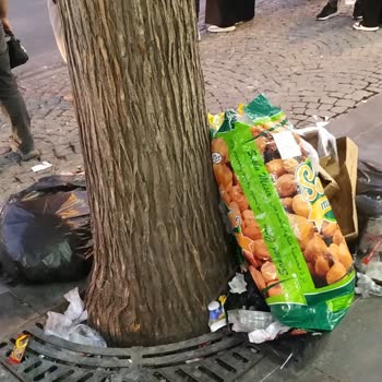 Halktan Kuruyemiş Adlı Gıda Mağazasının Çöp Sorunu