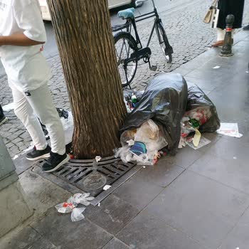 Halktan Kuruyemiş Adlı Gıda Mağazasının Çöp Sorunu