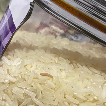 Migros Jasmine Pirinç Kurtlu