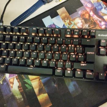 SteelSeries Apex9 Tkl Ekrana Yazmıyor