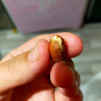 Çerezya Fıstık Mağduriyeti