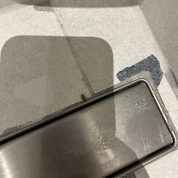 Blue Bay Platinum Otel Otel Odası Böcekli